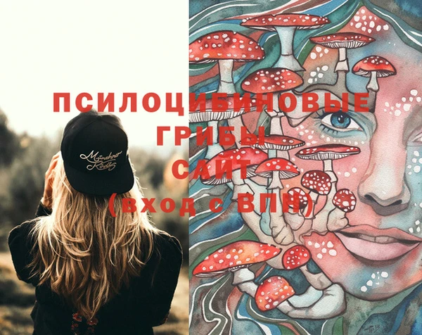 дживик Ессентукская