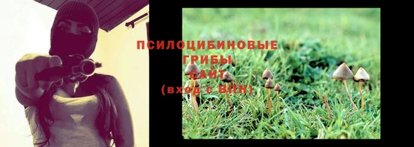 ешки Куйбышев