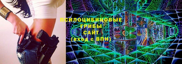 стафф Кулебаки