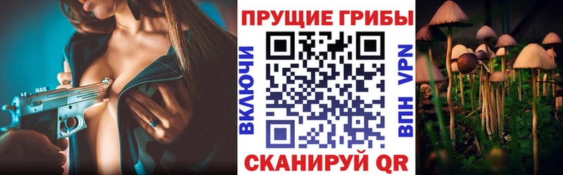 Галлюциногенные грибы Magic Shrooms  Купить  Кудрово 